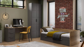 Детская «Стелла» Серый вулкан, Фон Серый, Яблоня Беллуно в Урае - uraj.mebel-tymen.ru | фото