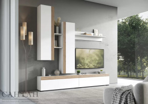 Гостиная НАО-Моно №1 в Урае - uraj.mebel-tymen.ru | фото