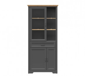 JASMIN шкаф REG1W2D1S (Графит/ Дуб артизан) в Урае - uraj.mebel-tymen.ru | фото