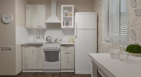 Кухонный гарнитур Алина мини 1000 мм в Урае - uraj.mebel-tymen.ru | фото