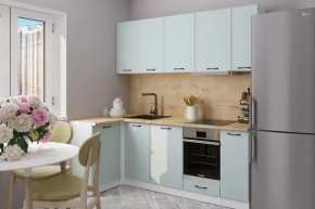 Кухонный гарнитур Лиора прайм 400 1100х2000 мм в Урае - uraj.mebel-tymen.ru | фото