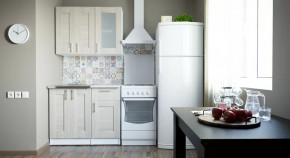 Кухонный гарнитур Лира мини 1000 мм в Урае - uraj.mebel-tymen.ru | фото