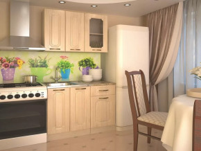 Кухонный прямой гарнитур 2, 1000 мм, Грецкий орех в Урае - uraj.mebel-tymen.ru | фото