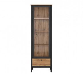 LOFT шкаф REG1W1S (Дуб вотан/Черный) в Урае - uraj.mebel-tymen.ru | фото