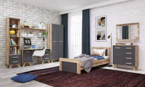 Молодёжная №ДКС-1 "Вега Скандинавия" Дуб каньон/Силк флай в Урае - uraj.mebel-tymen.ru | фото