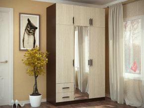 Шкаф 3-х створчатый с перегородкой венге/лоредо БТС в Урае - uraj.mebel-tymen.ru | фото