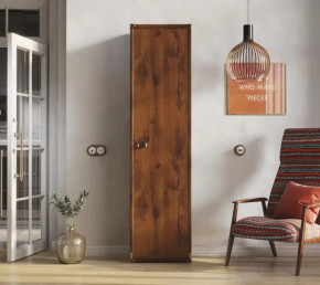 Шкаф JREG 1d Дуб саттер ИНДИАНА в Урае - uraj.mebel-tymen.ru | фото
