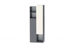 Шкаф Клео Шк-2, 800 мм, графит, миндаль Диал в Урае - uraj.mebel-tymen.ru | фото