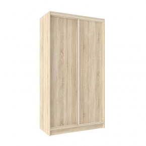 Шкаф-купе 1200 Домашний лдсп/лдсп в Урае - uraj.mebel-tymen.ru | фото