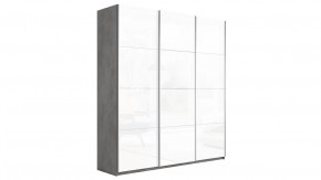 Шкаф-купе 3-х дверный «Траст» в Урае - uraj.mebel-tymen.ru | фото