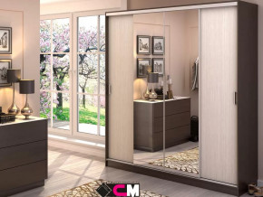 Шкаф-купе Альянс 2000 в Урае - uraj.mebel-tymen.ru | фото