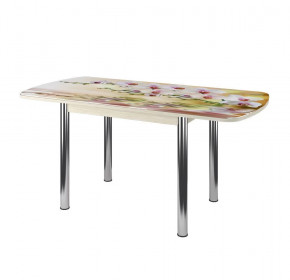 Стол Бостон-3 раздвижной, фотопечать Орхидея на воде/венге/хром брифинг в Урае - uraj.mebel-tymen.ru | фото