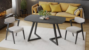 Стол обеденный «TESCA 2» Графит, Стекло графит матовое в Урае - uraj.mebel-tymen.ru | фото