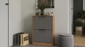 Тумба для обуви «Хилтон» Исп.2 Дуб Крафт золотой, Графит матовый в Урае - uraj.mebel-tymen.ru | фото