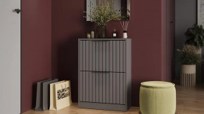 Тумба для обуви «Хилтон» Исп.2 Серый графит, Графит матовый в Урае - uraj.mebel-tymen.ru | фото