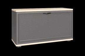 Тумба для обуви ТБ-1041 Карина в Урае - uraj.mebel-tymen.ru | фото