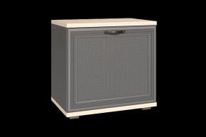 Тумба для обуви ТБ-1042 Карина в Урае - uraj.mebel-tymen.ru | фото