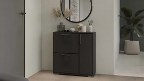 Тумба для обуви Тип 15 Антрацит в Урае - uraj.mebel-tymen.ru | фото