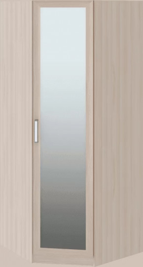 Волкер подростковая М01 Шкаф угловой в Урае - uraj.mebel-tymen.ru | фото